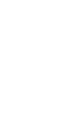 フリージングレモンサワー