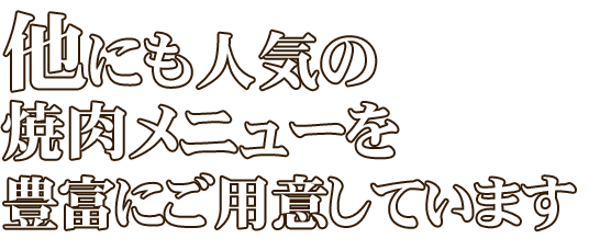 豊富にご用意しています