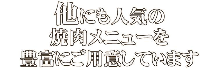 豊富にご用意しています